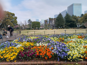 008_260328035 X900 ○第一花壇 日比谷公園 F-52E.jpg
