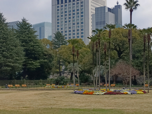 009_260328040 X900 ○第一花壇 日比谷公園 F-52E.jpg