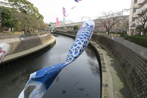 011_260322030 X900 帷子川 G7X.jpg