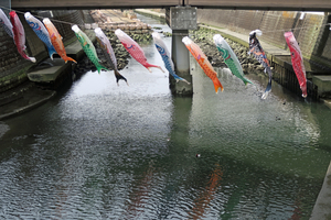 012_260322032 X900 ○帷子川 G7X.jpg