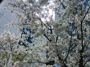 021_260328107 X900 ◎飯野海運ビル  F-52E.jpg