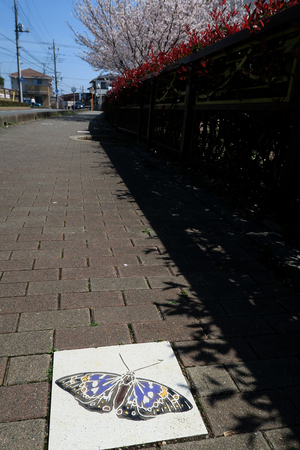 001_260403003m X900 ◎武蔵嵐山 G7X.jpg