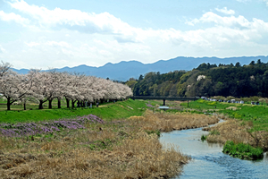 008_260403026 X900 ○都幾川 武蔵嵐山 G7X.jpg