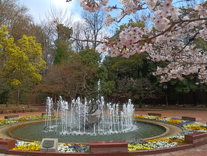 019_260328092 X900 ◎かもめの広場 日比谷公園 F-52E.jpg