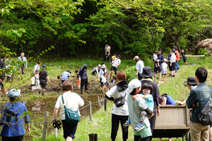 008_260418090 X900 舞岡公園 RX10M4.jpg