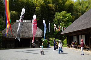 010_260418112 X900 ◎舞岡公園 RX10M4.jpg