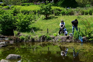 005_260426016 X900 ムクドリ 保土ヶ谷公園 Z50 Z50-250.jpg