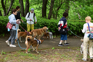 002_260428013 X900 舞岡公園 Z50 Z50-250.jpg