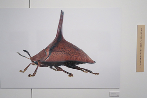 005_260520039 X900 恵比寿  東京都写真美術館 「虫展」 G7X.jpg