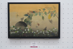 008_260531024 X900 上野公園 蝶 日本画院展作品 G7X.jpg