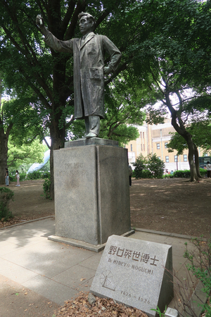 001_260531001 X900 上野公園 野口英世像 G7X.jpg
