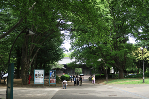 004_260531005 X900 上野公園 G7X.jpg