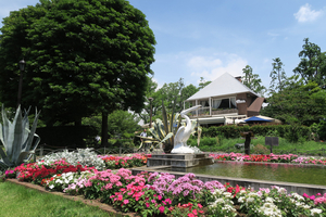 009_260619057  X900 ローズウララ 第一花壇周辺 G7X.jpg