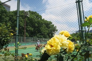 003_260619023 X900 マイタイ 松本楼へ G7X.jpg