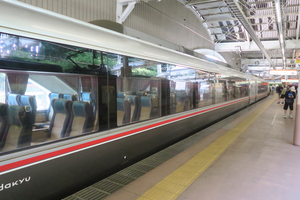 037_260714056 X900 箱根湿性花園 箱根湯本駅  G7X.jpg