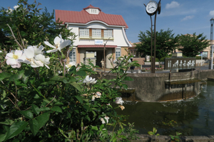 003_260613009 X900 田園調布駅 G7X.jpg