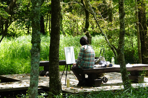029_260714156 X900 箱根湿性花園 RX10M4.jpg