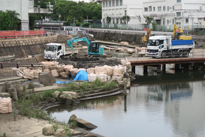 009_260622011 X900 帷子川 G7X.jpg