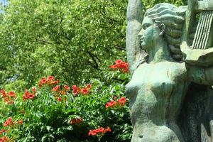 006_260619040 X900 第一花壇周辺 G7X.jpg