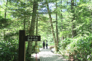 039_260723210 X900 ◎田代池→梓川コースへ クマベル G7X.jpg