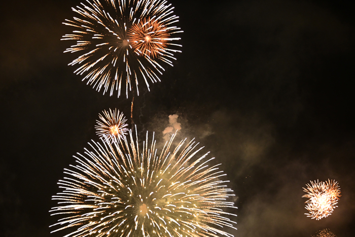 000_250817259 X700 ◎熊野灘 花火 D50.jpg