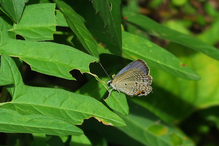 000_241004043 ◎峰岡公園 G7X.jpg