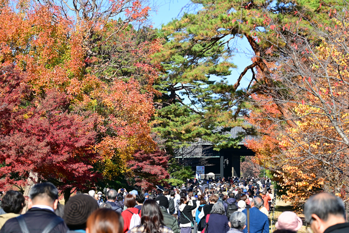 000_251201137 X700 〇乾通り 乾門 Z50 Z50-250 - コピー.jpg