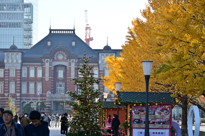 000_251201005 X700 〇東京駅行幸通り Z50 Z50-250.jpg
