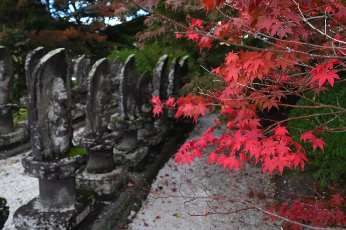 000_241030072x X700 〇長円寺 石仏 G7X.jpg